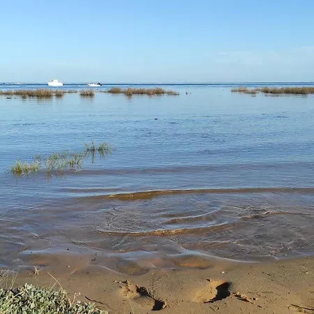 אתר קמפינג Franck's Tiny House Les Viviers