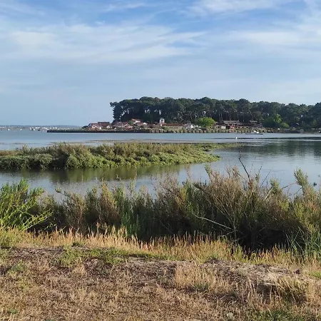 Franck's Tiny House Les Viviers אתר קמפינג