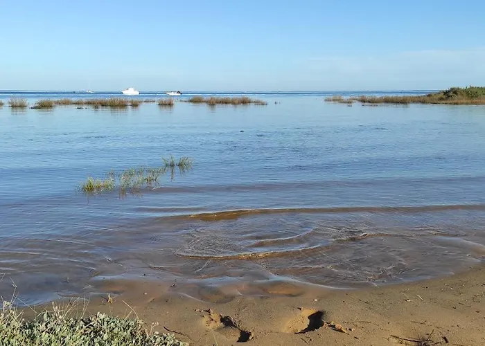 Кемпинг Franck's Tiny House Les Viviers