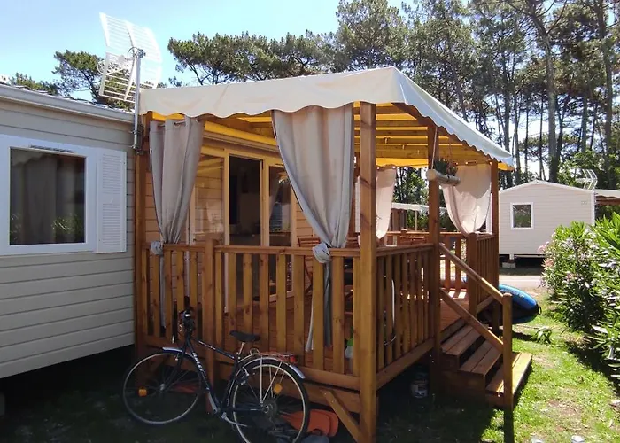 Franck's Tiny House Les Viviers *